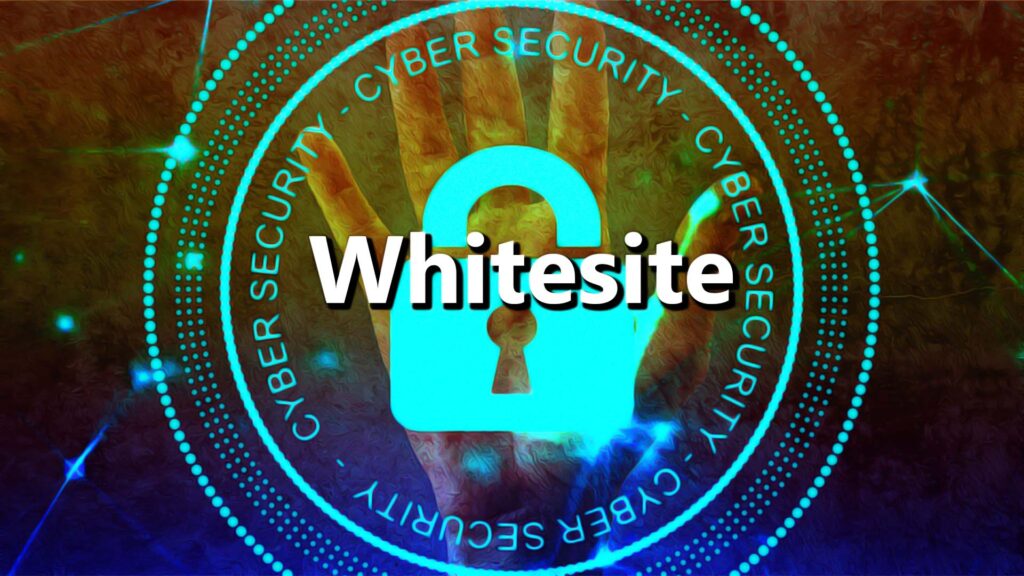 An Overview: What do you Mean by Whitelist, and How Does it Work?&nbsp;