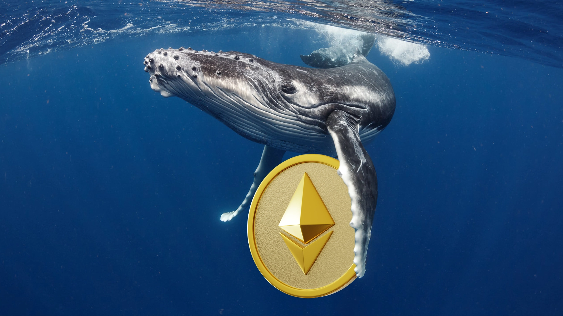 Ethereum ICO Participant Sold 19,000 ETH Amid Crypto Downturn
