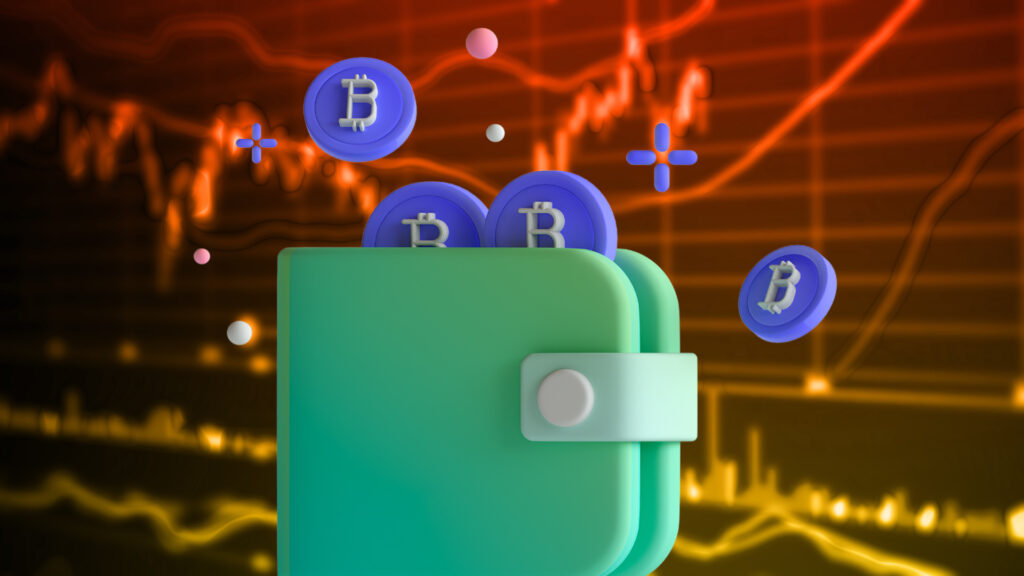 Cryptocurrency Wallets: Their Types, Functions and Security Measures