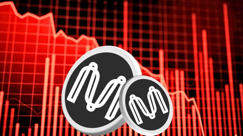 MINA Coin Price is Near the Resistance, Will It Fall From There?