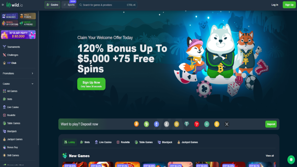 Maximizing Your Gaming Experience with Wild.io Casino’s Exclusive Bonuses