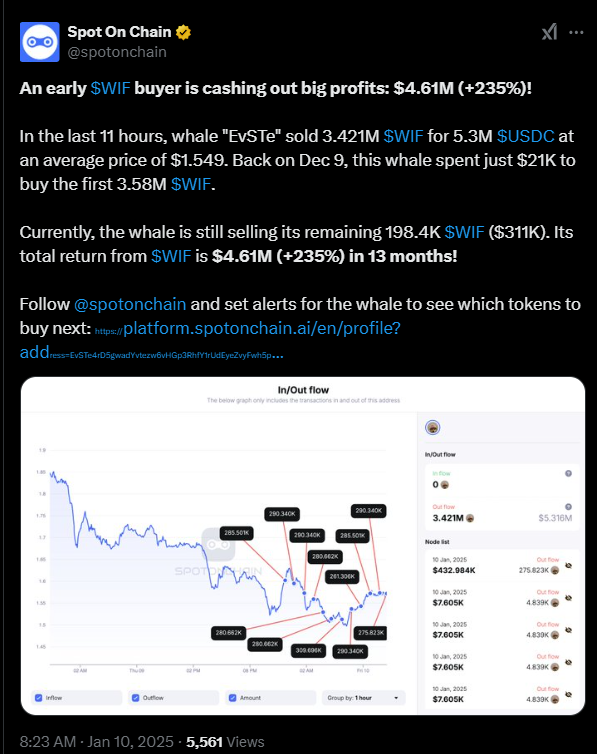 Whale Selloff Pressures dogwifhat Price: Where Is It Heading?