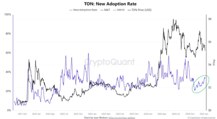 TON Crypto Adoption On The Rise: Could It Drive A Price Rally?