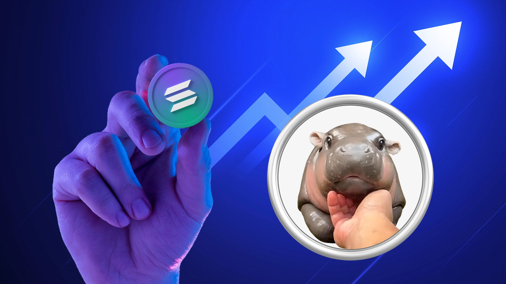 How A Solana Holder Transformed $1.3K Into A Fortune Over $3.4M