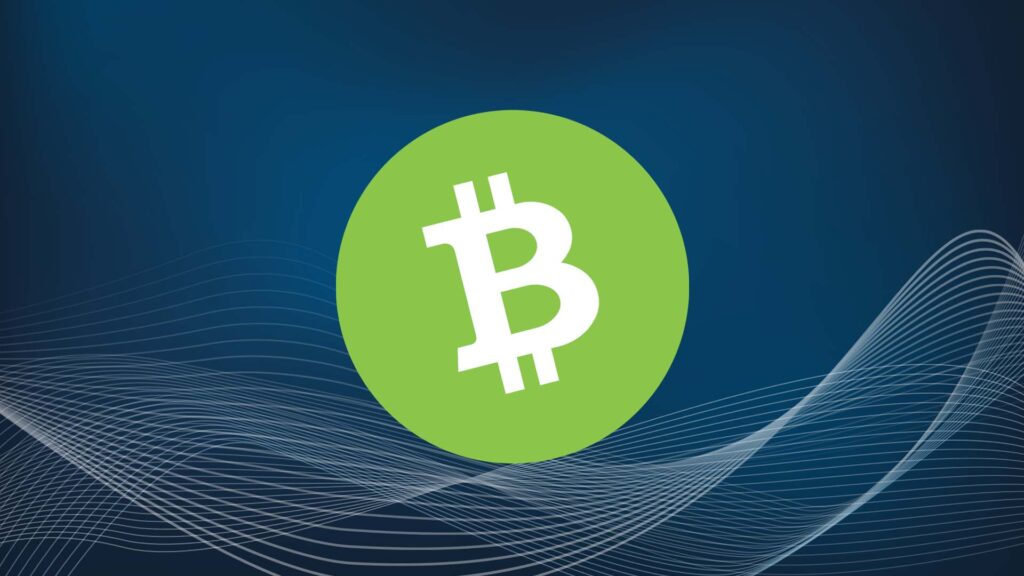 Aptos vs. Bitcoin Cash: Node Infrastructure of Two Leading Layer 1s