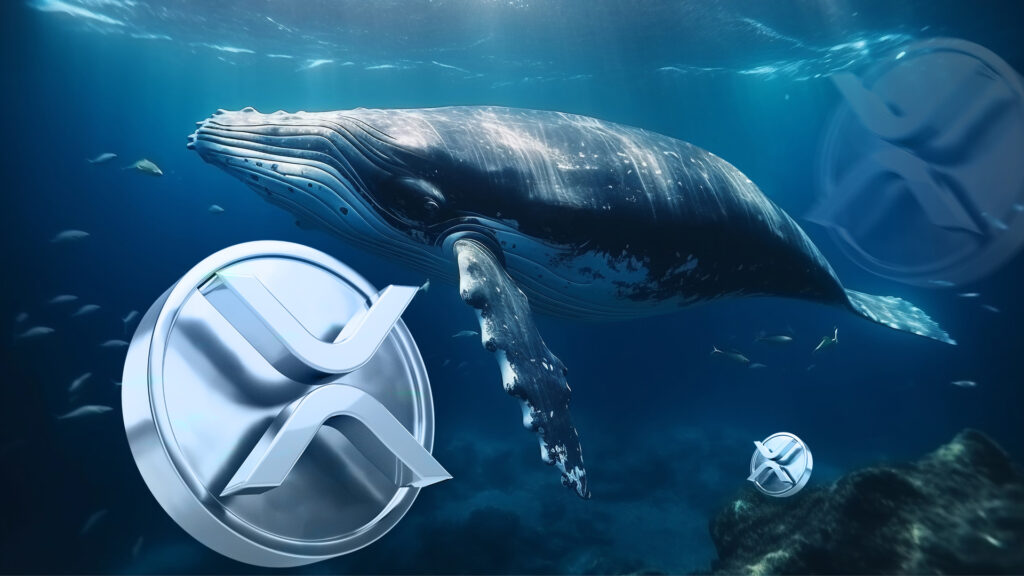 Will XRP Price Rally To $3.62 As Ripple Whales Accumulate?
