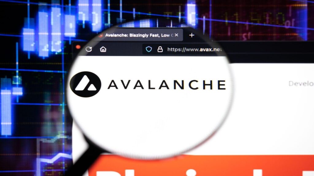 Kelexo Gains More Avalanche & Tether USDT investments as 25x Seems Achievable