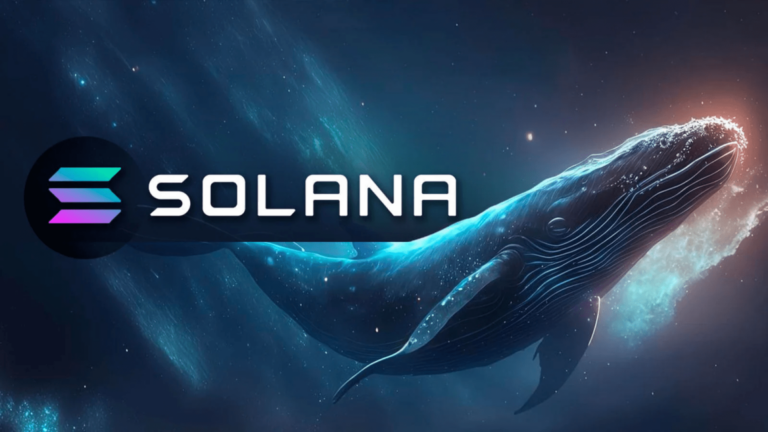 Pushd Steals Headlines Again and Solana & Chainlink Whales Also Buy in Big