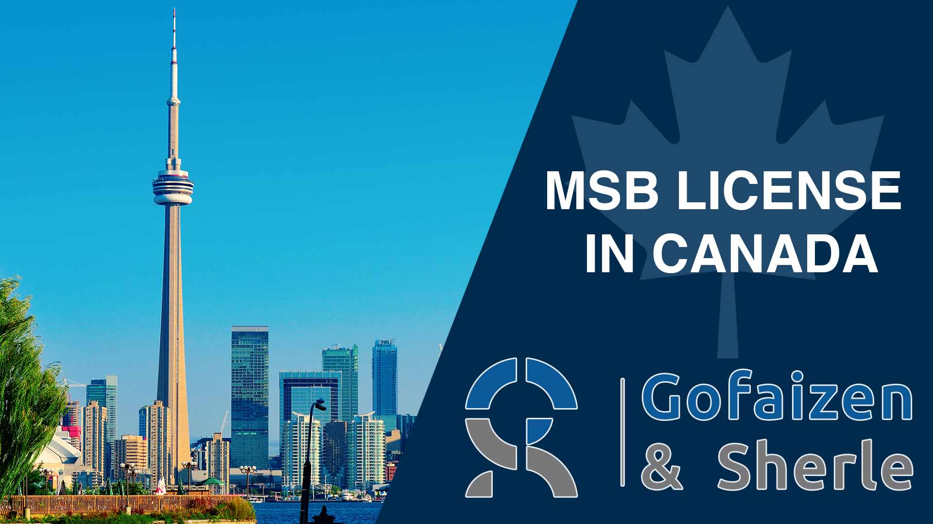 MSB License in Canada: A Comprehensive Guide
