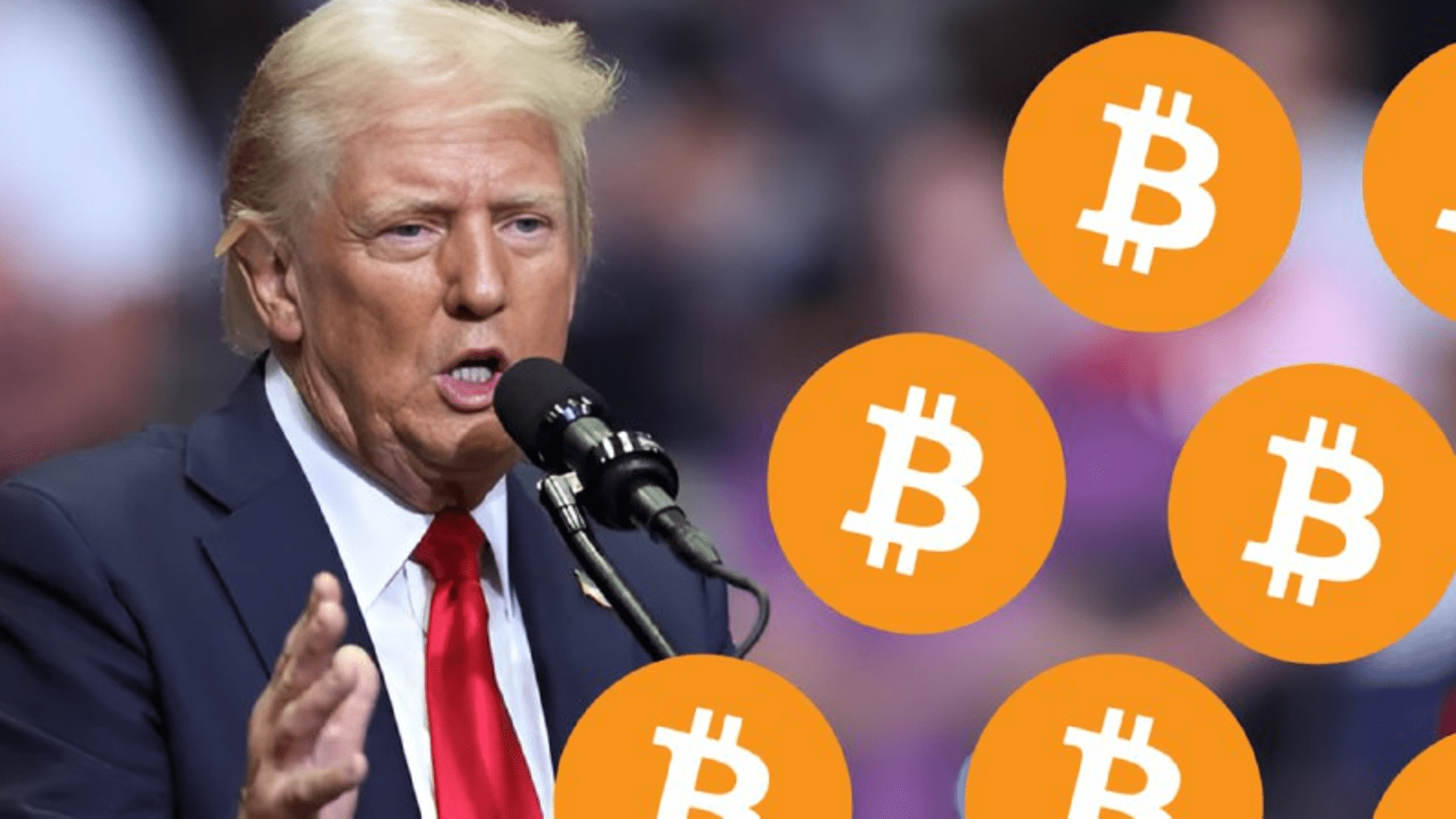 Former Whitehouse Official Says Bitcoin Trump Speech Can Trigger A Bull Market