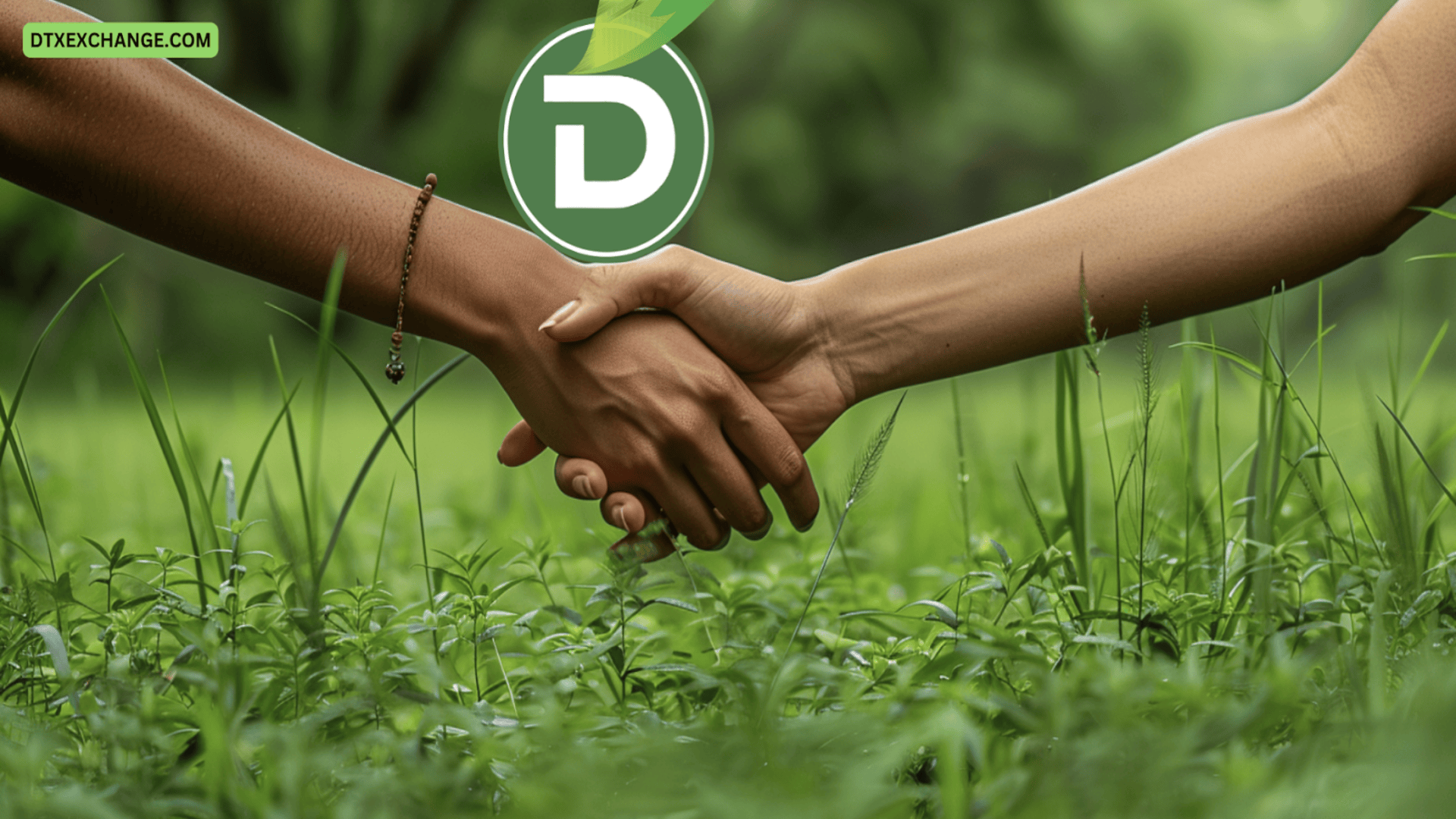 Expert Explains Why AAVE Stands Tall and DTX Exchange Can Outperform Cardano By 2025