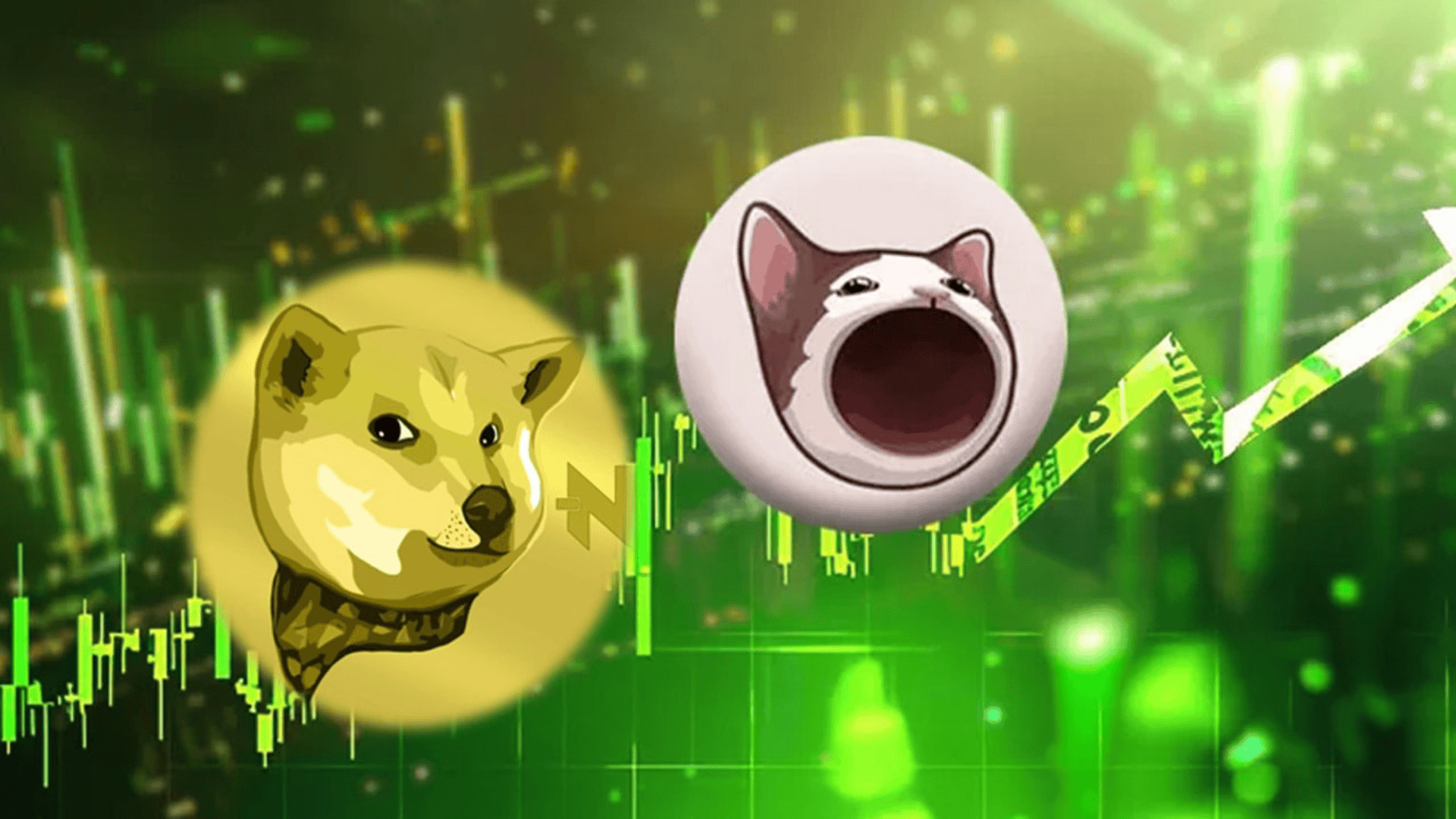 Analyst Says To Buy RCOF If You Want An 8,000x Rally Like NEIRO and POPCAT