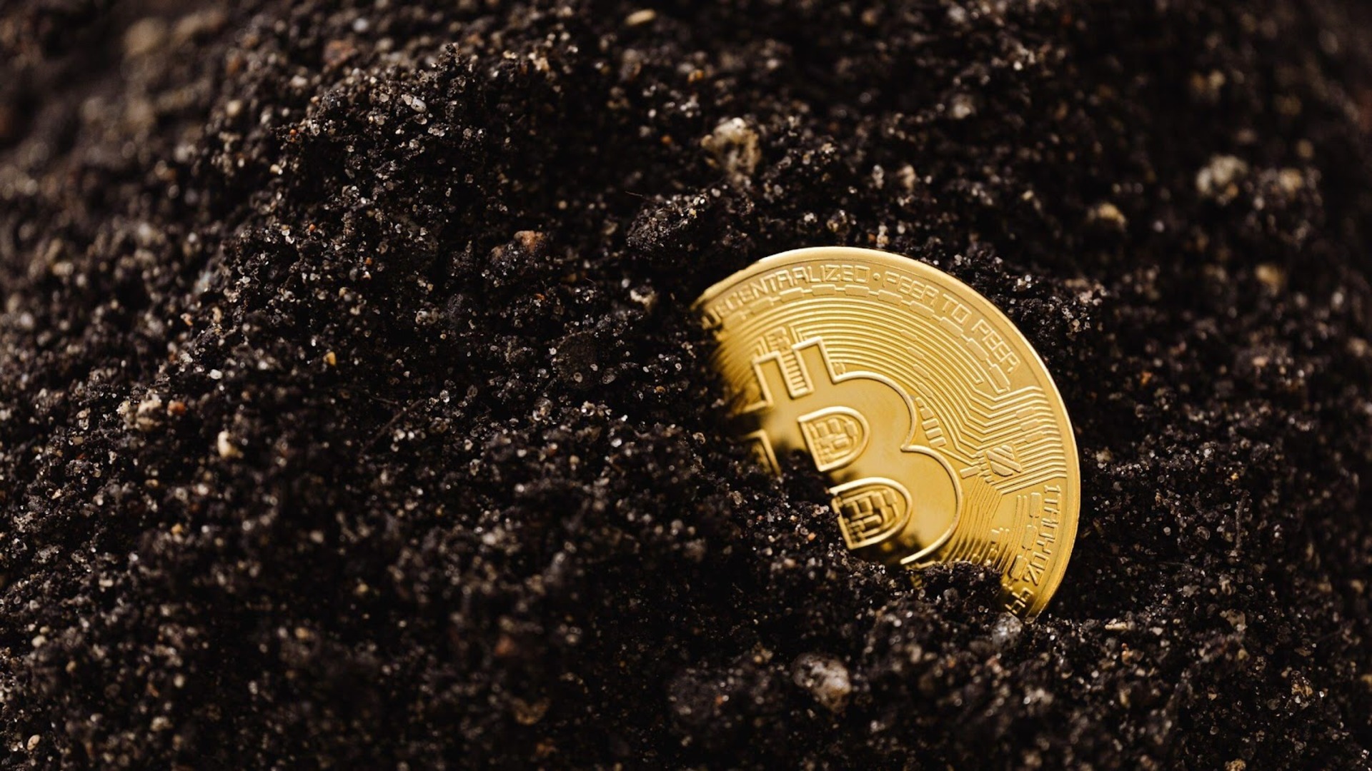 How Cryptocurrencies are Shaping the Future of Online Transactions