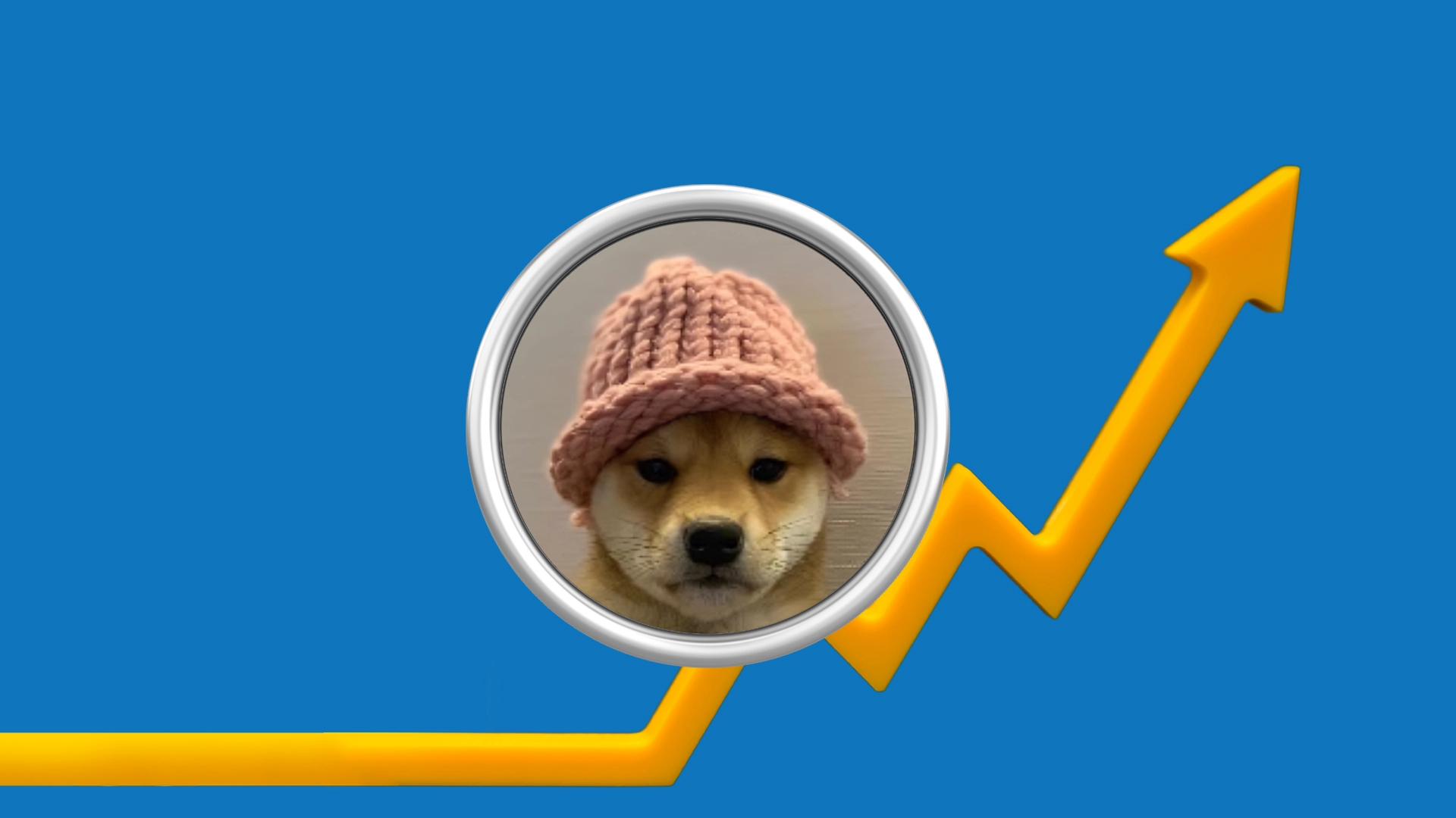 WIF Price Jumped 20% In 6 Hours: Are Bulls Eyeing For Huge Gain