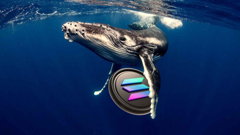 Solana Whales Drop 135 Addresses with 10k+ SOL as Network Activity Declines 60%