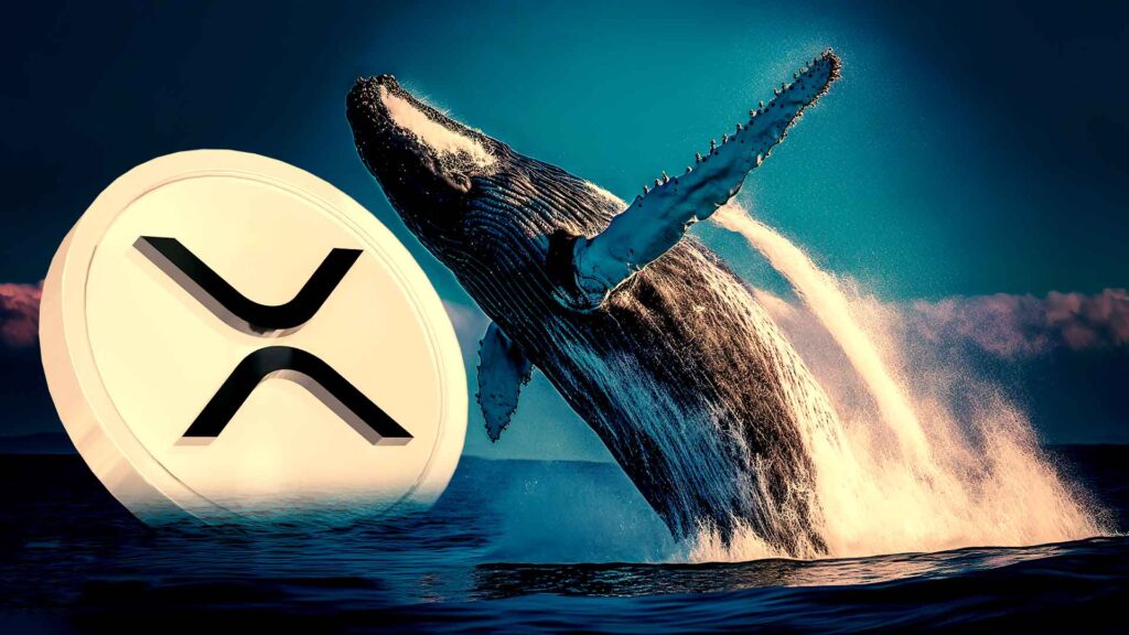 ราคา XRP จะแตะ 8 ดอลลาร์หรือไม่? ปลาวาฬย้ายเหรียญ 390 ล้านเหรียญท่ามกลางการคาดการณ์การพุ่งขึ้น