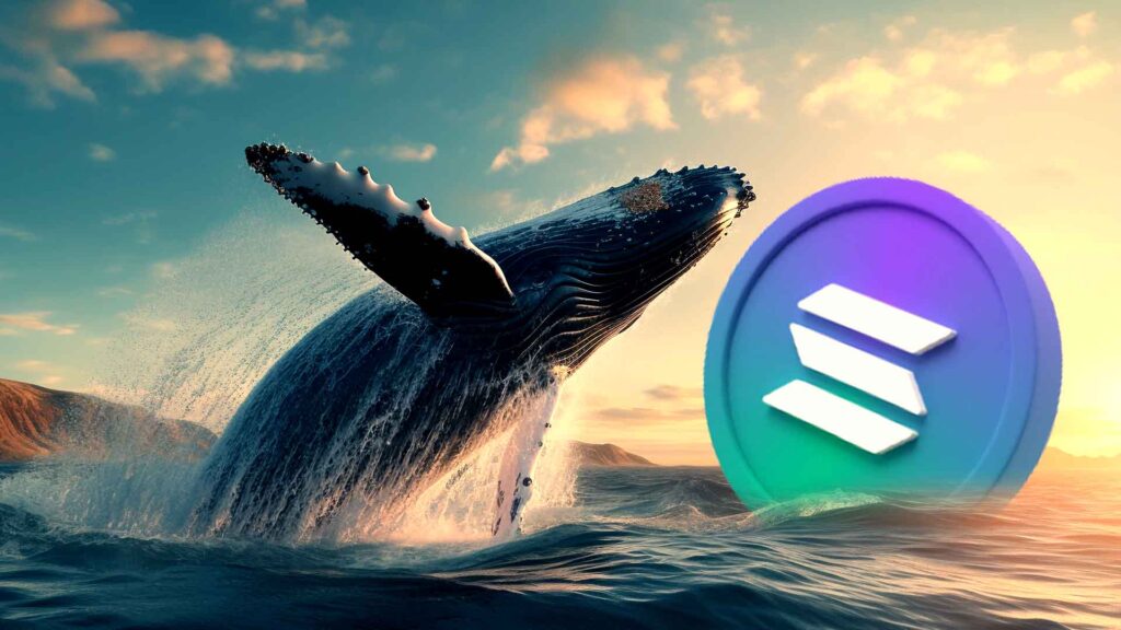 Can SOL Whales Push Solana Price to $260 Amid Bullish Breakout?