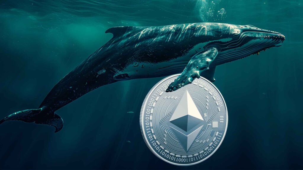 Ethereum Whales Stack 600K ETH, Is A Massive Price Rally On The Horizon?