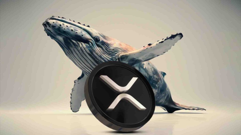 Le prix du XRP s’effondre : Les baleines déchargent 1,1 milliard de jetons, risquant une chute de 46 %.