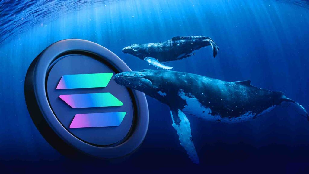 Solana, WHALE & XCN Lead Crypto Trends with Rising Interest