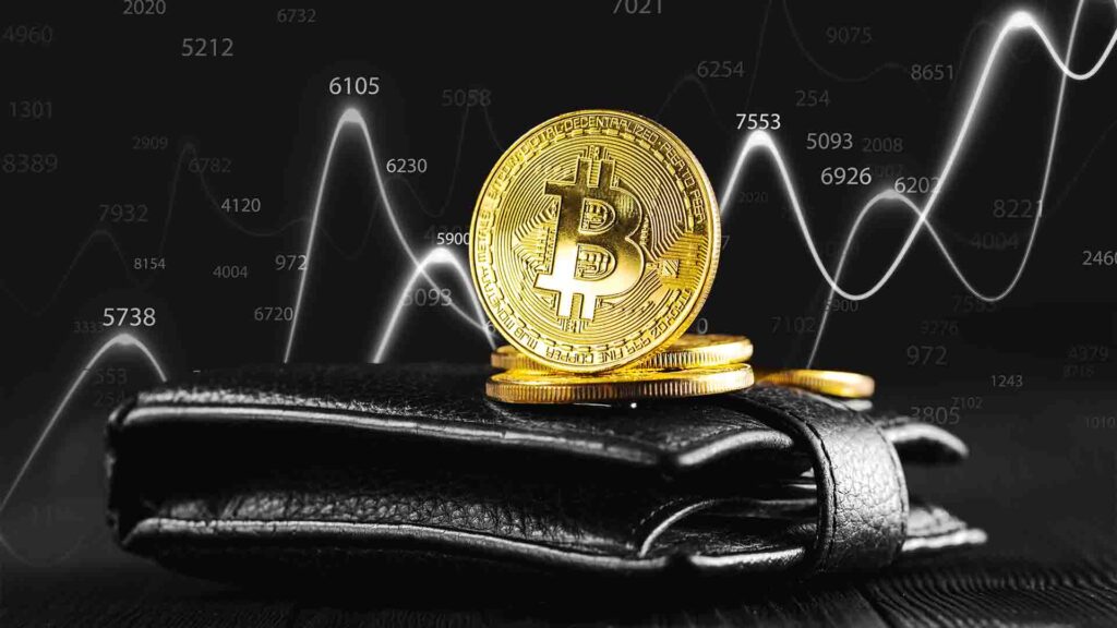 What’s Next for Bitcoin Price as BTC Wallets Near Record High