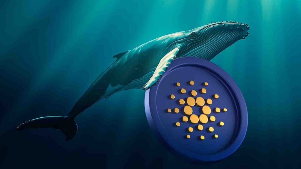 Cardano Price Nears $2.7 As Whales Stack Massive 190M ADA