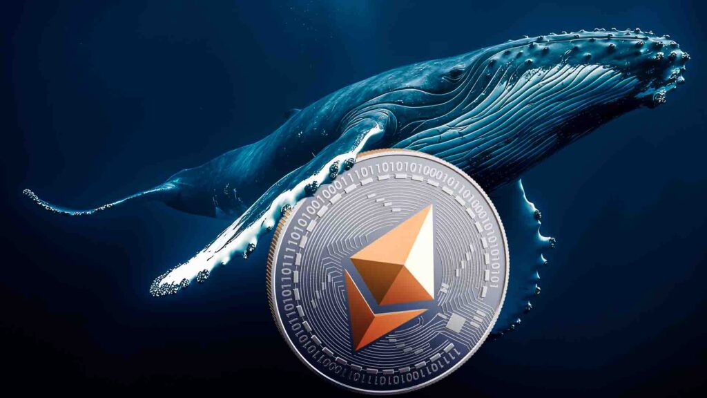 Whales Shift 200K ETH as $165M Longs Liquidated—Is Ethereum Price in Trouble?