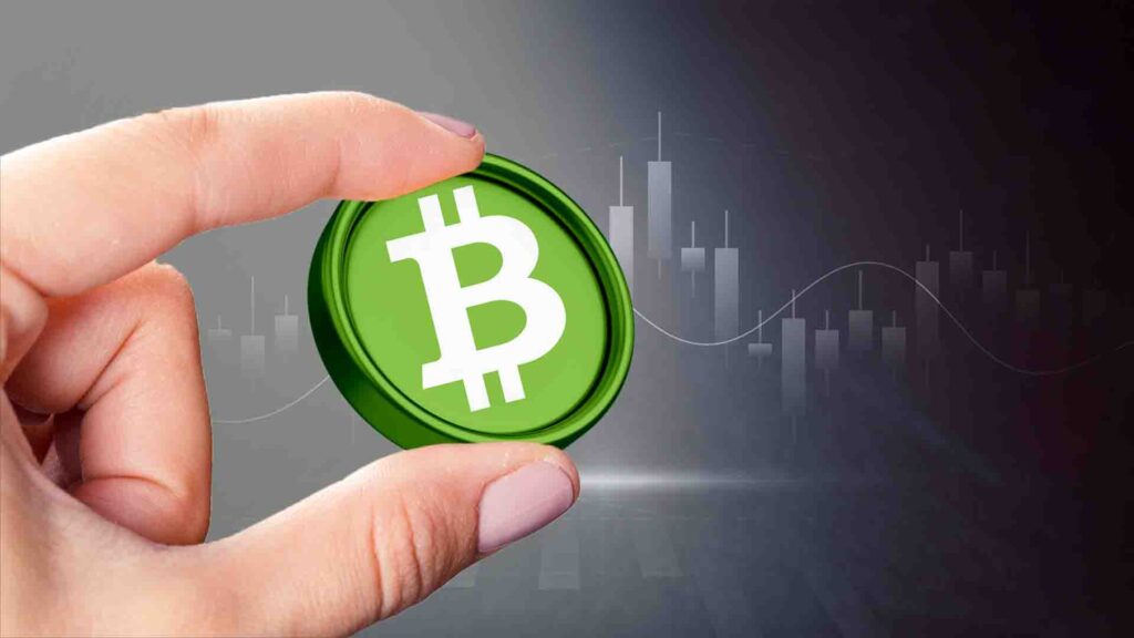 ราคา Bitcoin Cash ยืนเหนือแนวรับสำคัญหลังการทะลุของ Falling Wedge
