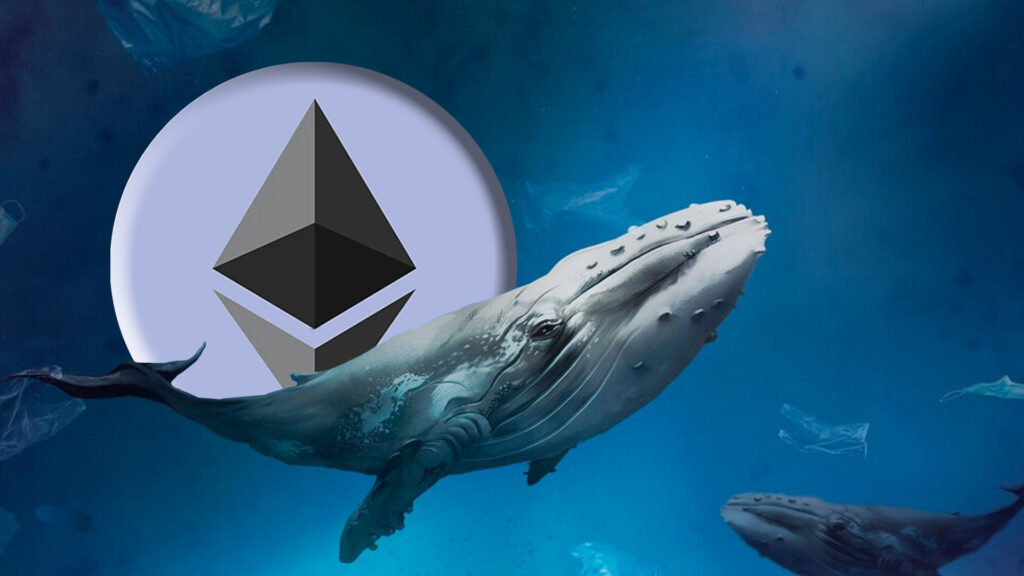 Ускорит ли “китовая распродажа” падение Ethereum к базовой зоне стоимости $1,457-$1,598?