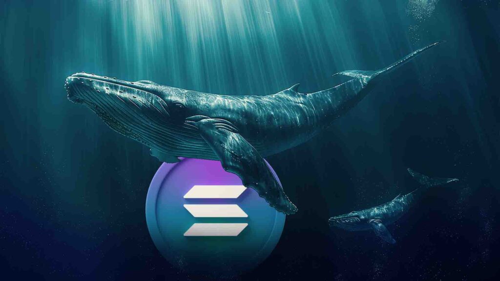 What’s Next for Solana Price as Whales Sell Off Amid Crypto Market Crash