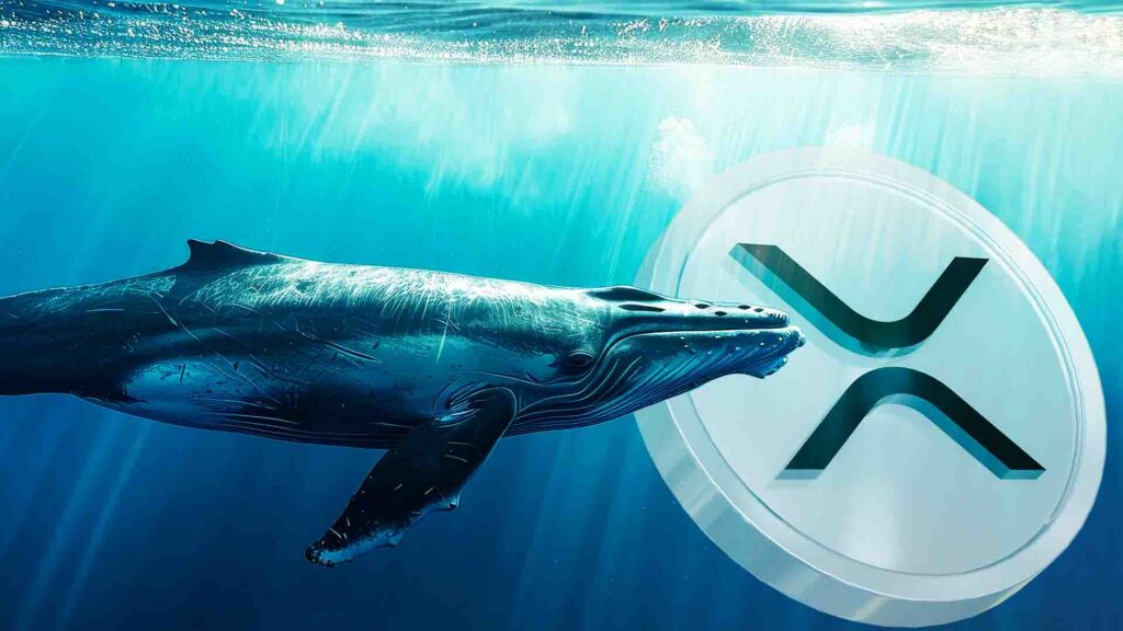 Whale เดิมพัน 12 ล้านเหรียญกับ XRP หลังจาก ETH เพิ่มขึ้น มันจะคุ้มค่าหรือไม่?