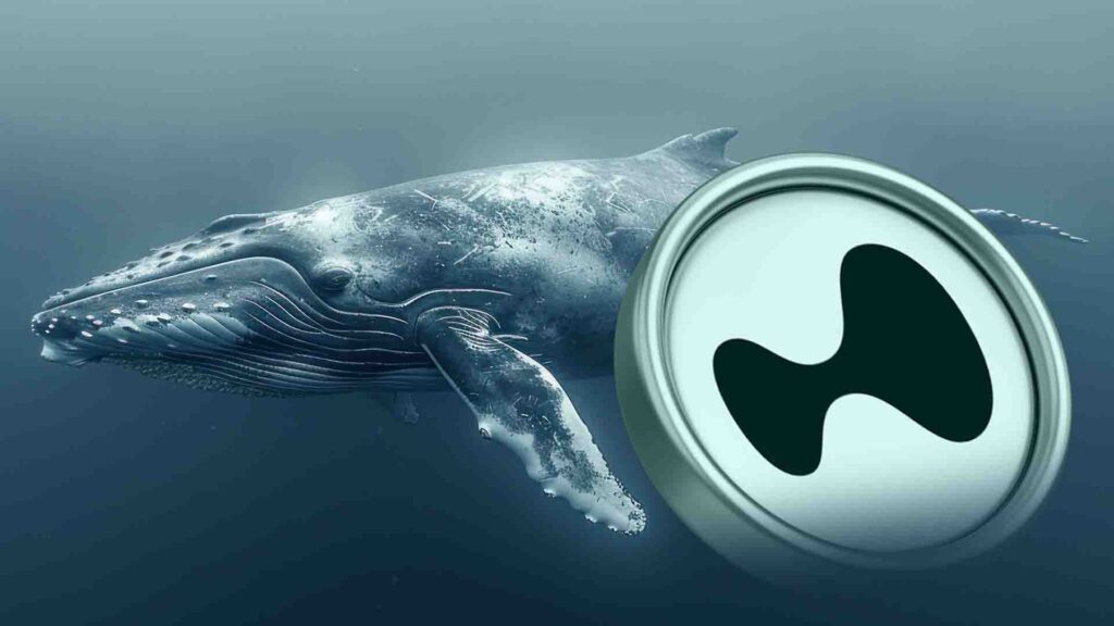 Hyperliquid Price Prediction: Why This Whale is About to Lose $35 Million