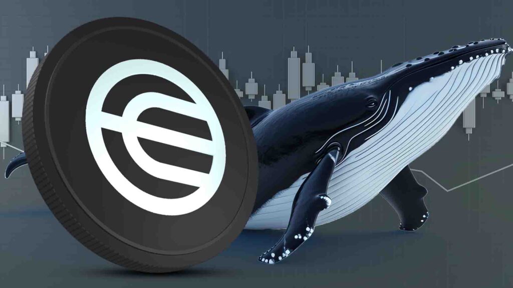 Whale Buys $17M WLD as Long Traders Face Mass Liquidations