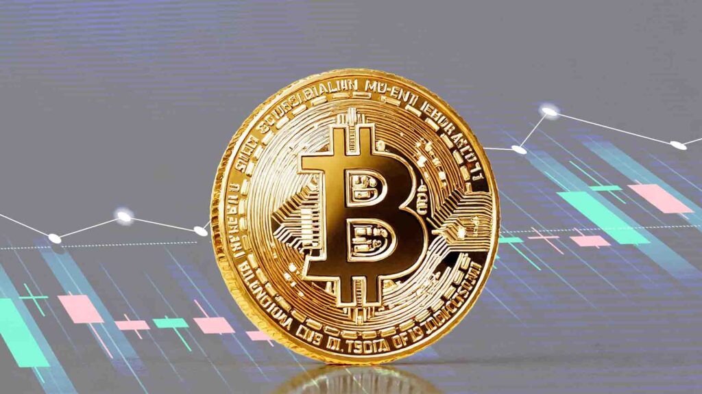 Bitcoin Accumulation 2025: Mid-Year Data Reveals Strategic Shifts Among Key Holders