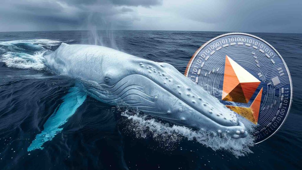 Ethereum (ETH) to $4,000? Whale Accumulation Skyrockets