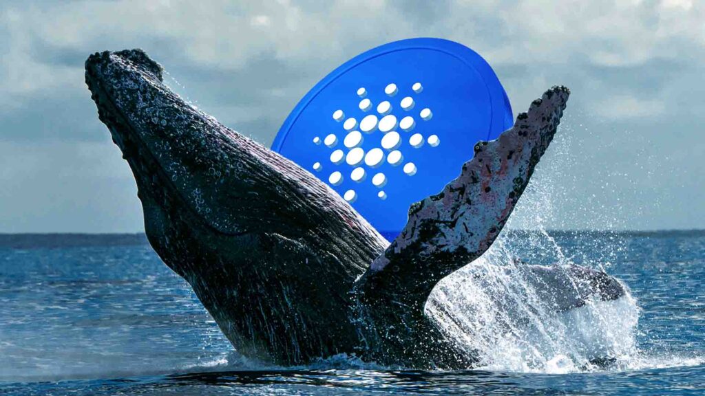 Cardano Price Eyes $0.84 As Whales Accumulate 120 Million ADA