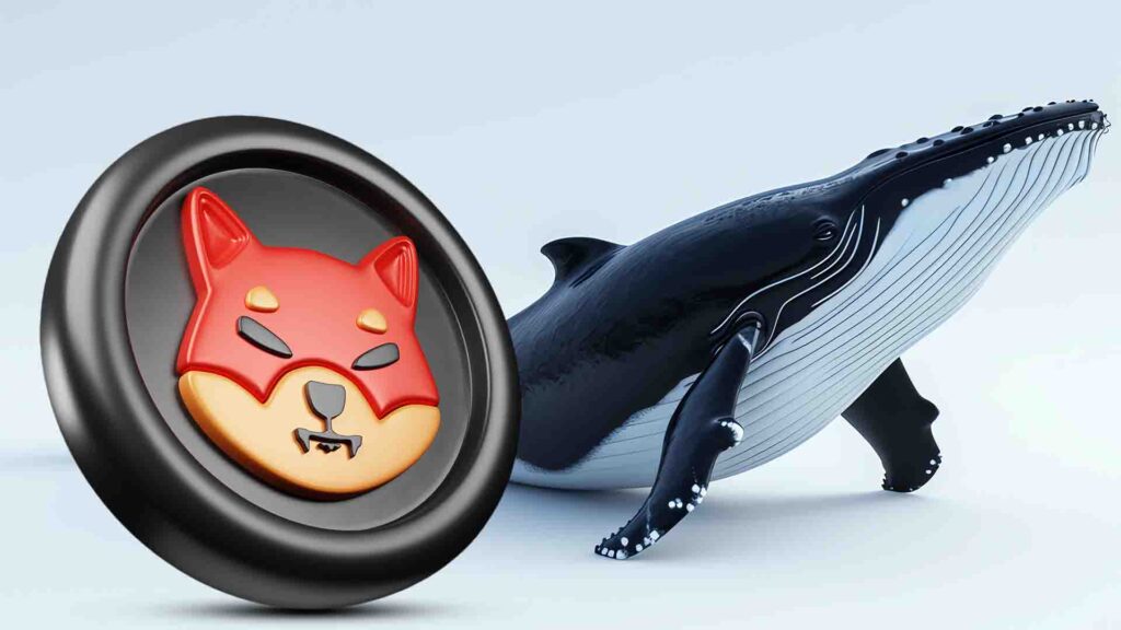 Shiba Inu Price Signals Reversal as Whales Bet Big on Double Bottom Setup