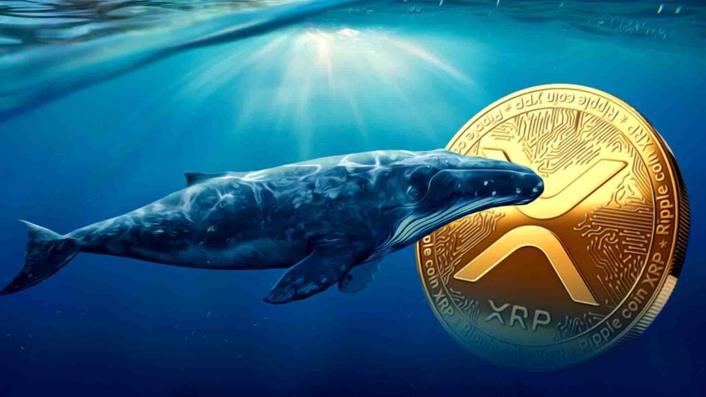 XRP Price Pattern Signals Surge as Brad Garlinghouse Gives ETF Prediction