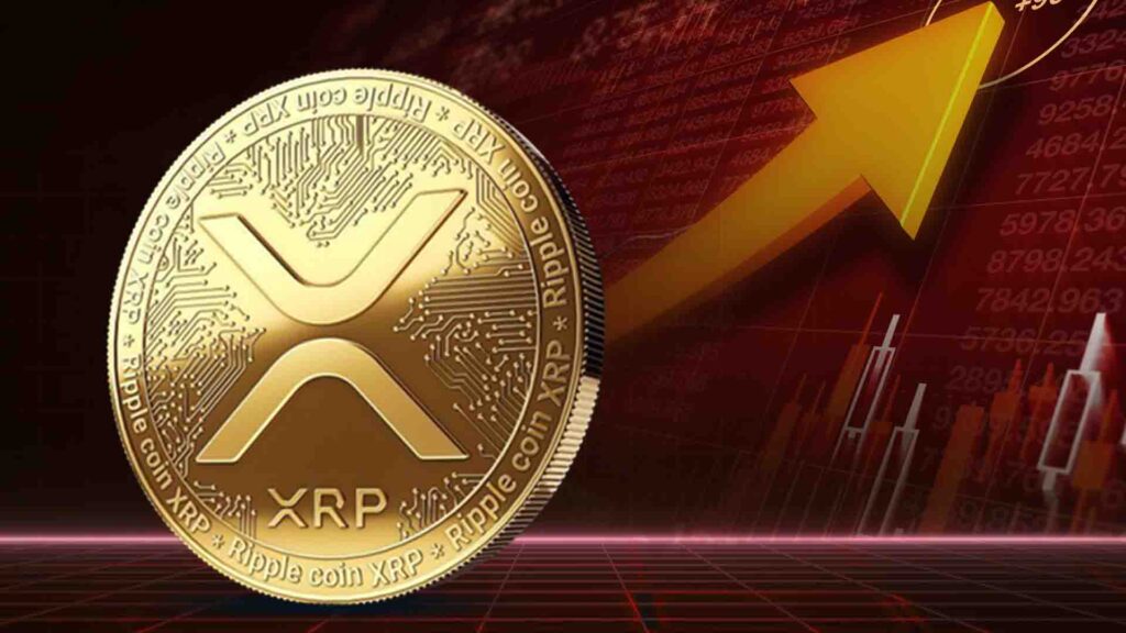 XRP Price Loses Crucial Support At $3, Can Bulls Manage A Bounce Back?