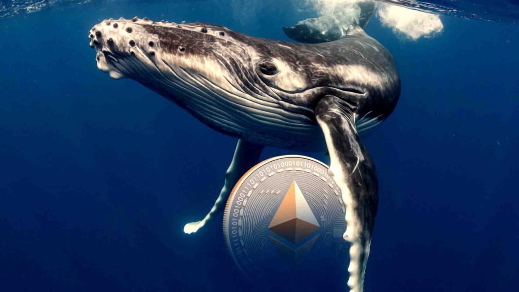 Le prix de l’Ethereum devrait grimper de 12 % alors que les baleines ajoutent 400 000 ETH
