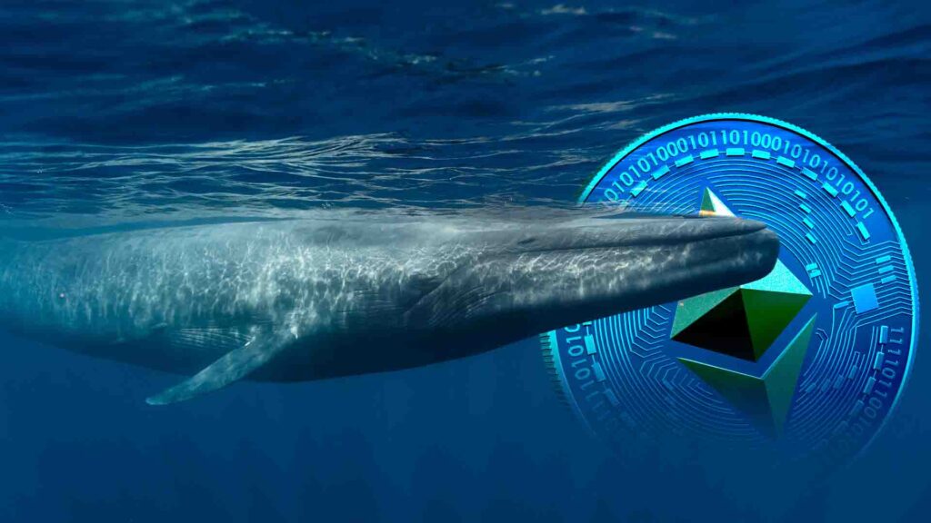 Ethereum Whales Buy Billions as Binance Faces Dumping Allegations