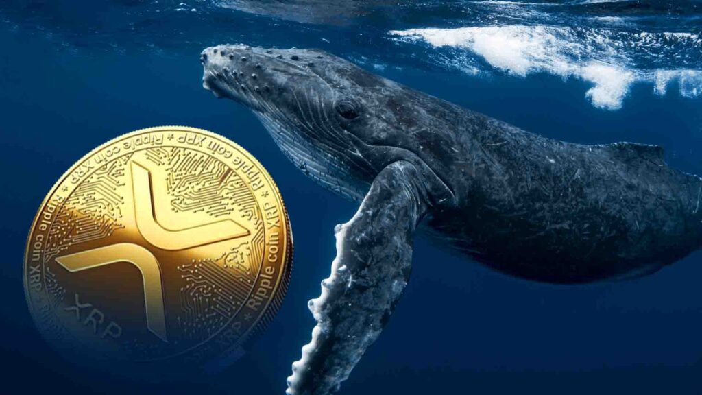 Analysts Reveal XRP Price Path to $7 by Mid-November