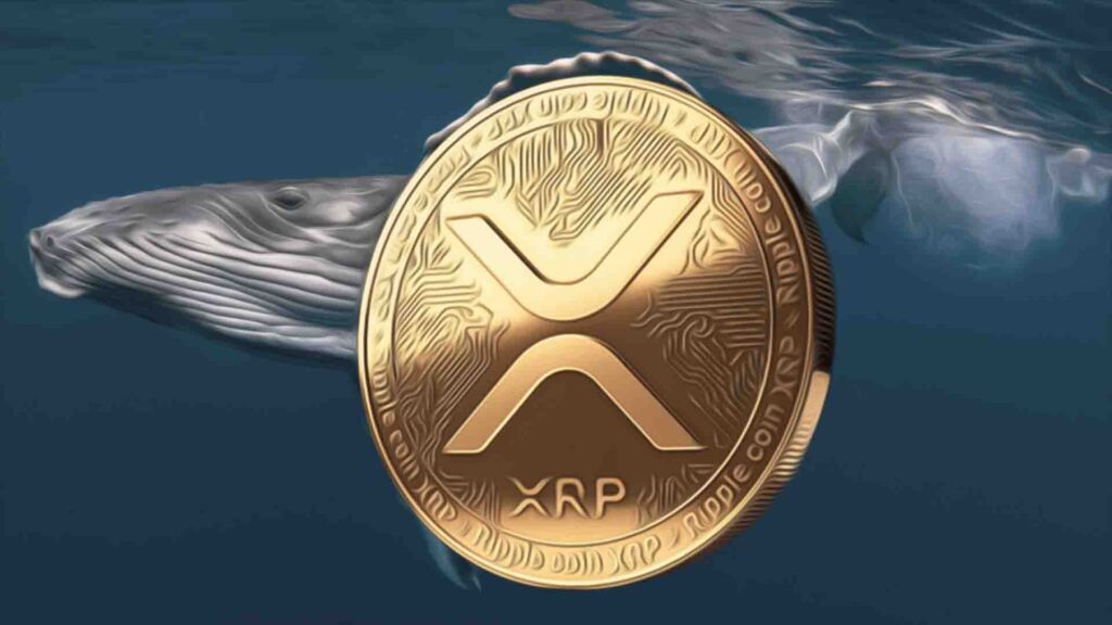 Whales werfen 160 Mio. Token ab, Markt sieht XRP-Preisverfall