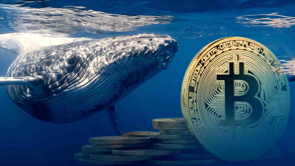 Bitcoin Whale Dumps 2,000 BTC for $215M Ethereum in Aggressive Shift