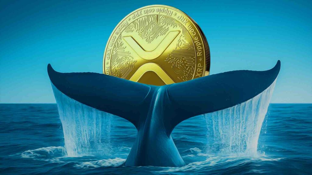 XRP News: XRP Price Faces Whale Selloff as $2.78 Support Tested