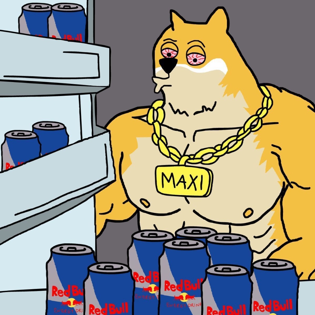 ชายผู้ได้ชื่อว่า IQ สูงที่สุดยังเชียร์ DOGE — แต่สายฟิตหนักเทหมดหน้าตักให้ Maxi Doge