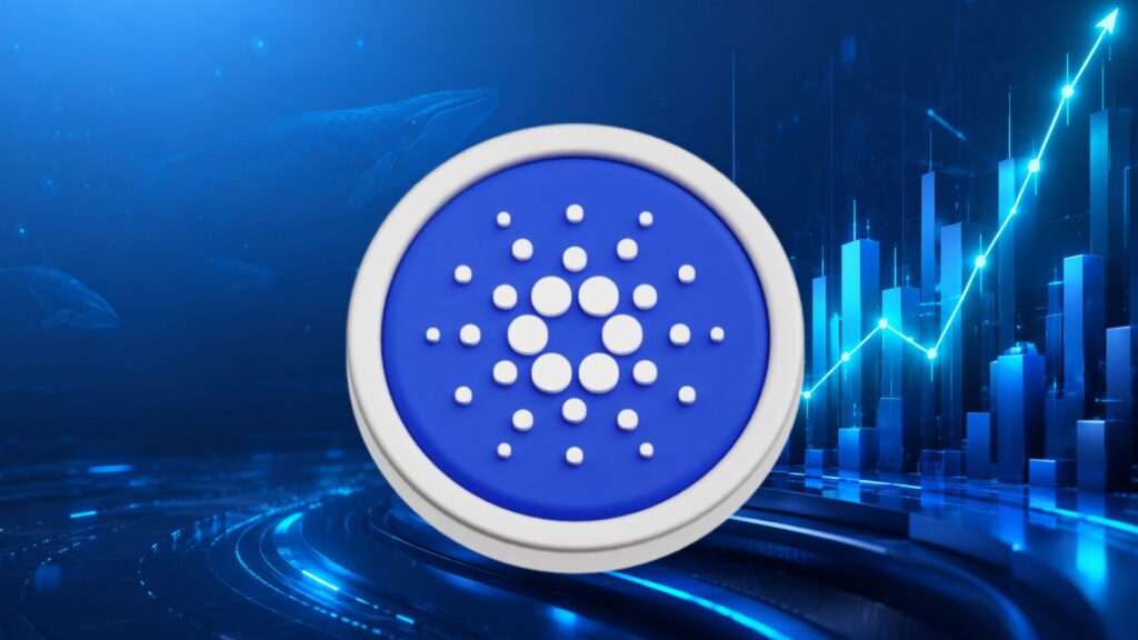Cardano Price Faces Pressure as ADA Whales Increase Holdings