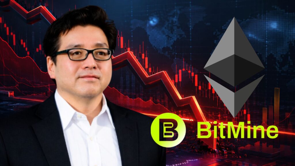 BitMine Stock Price Weakens as Ethereum ETF Outflows Continue