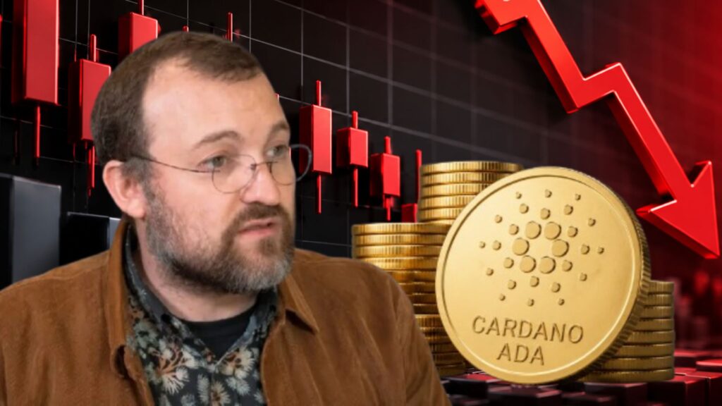 Cardano Charles Hoskinson Clarifies He’s “Not” Leaving As ADA Price Crashes 19%