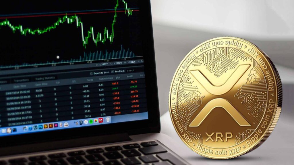 XRP Price Nears Major Cycle Support as Wave Analysis Points Toward $8